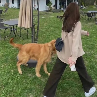 锁麟囊