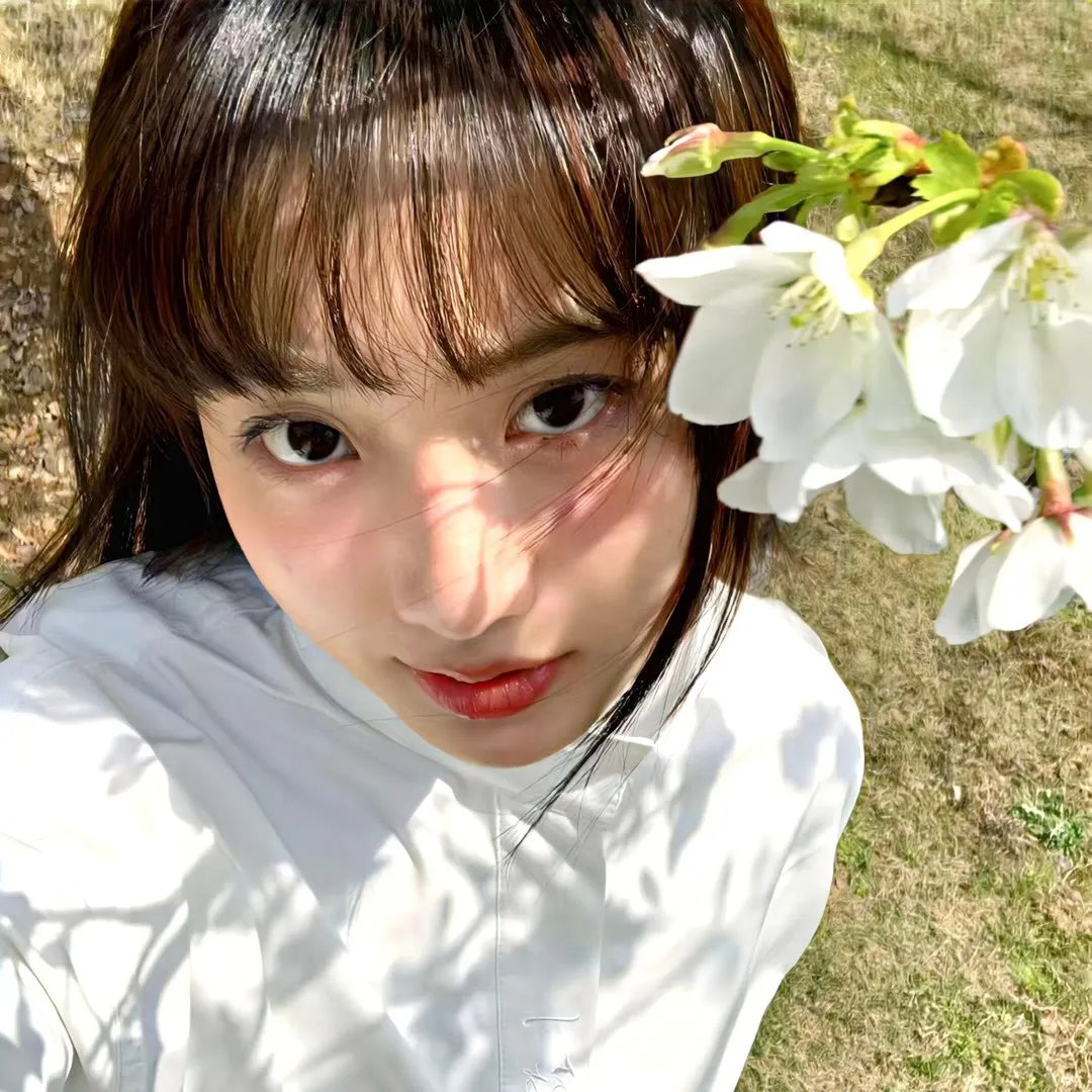 蚁人与黄蜂女